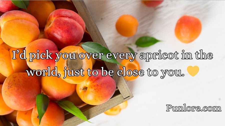 Apricot Pickup Lines
