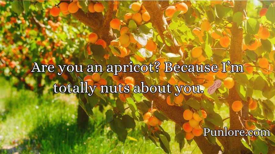 Apricot Pickup Lines