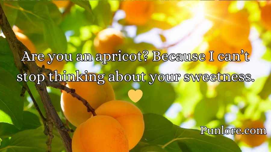 Apricot Pickup Lines