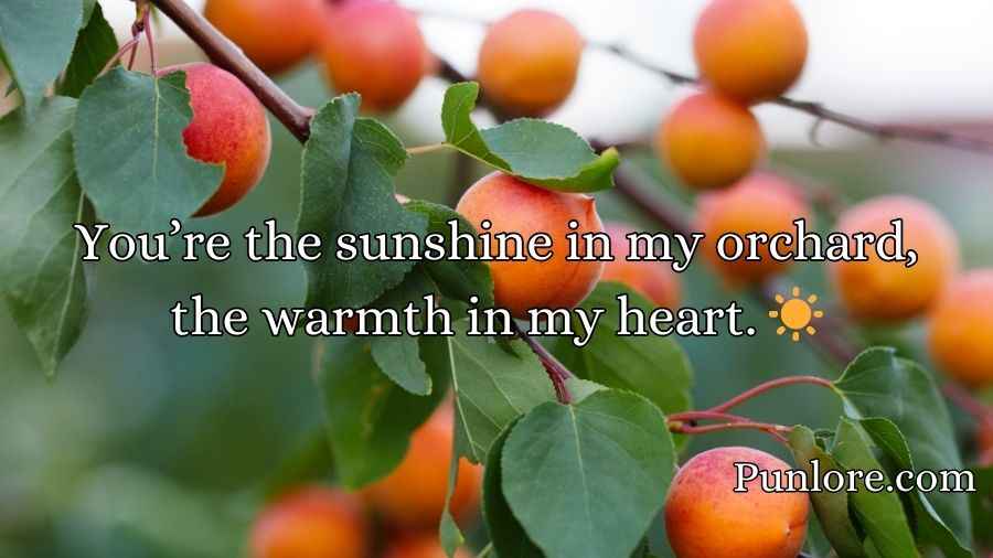 Apricot Pickup Lines