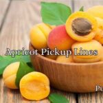 Apricot Pickup Lines