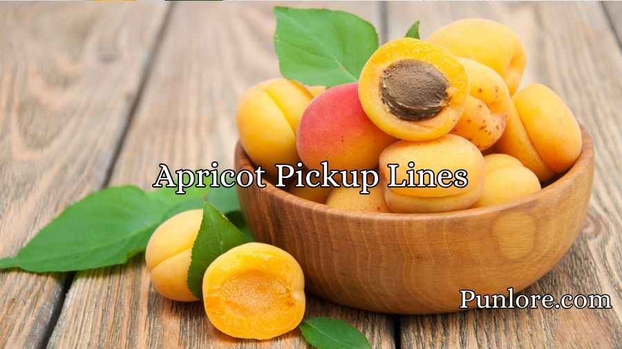 Apricot Pickup Lines