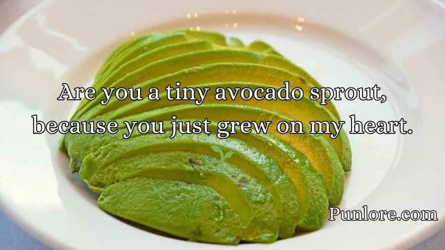 Avocado Pick Up Lines