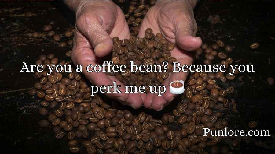 Bean Pickup Lines