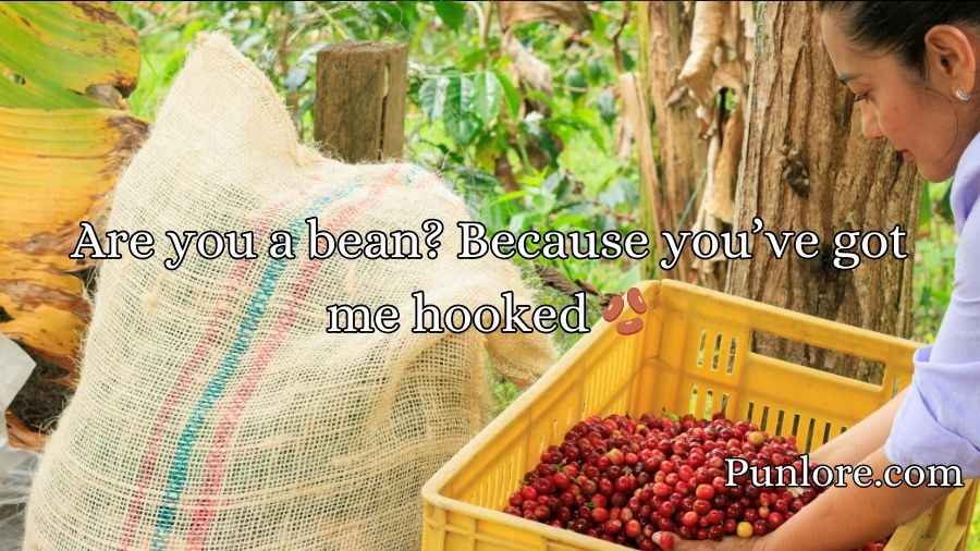 Bean Pickup Lines