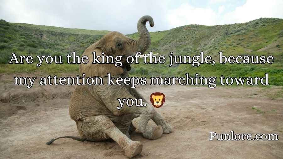 Best Elephant Pick Up Lines And Rizz