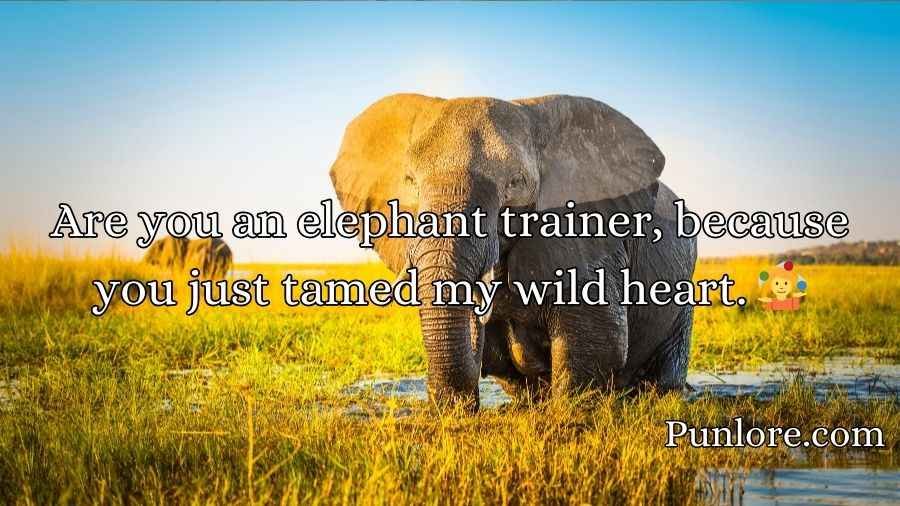 Best Elephant Pick Up Lines And Rizz