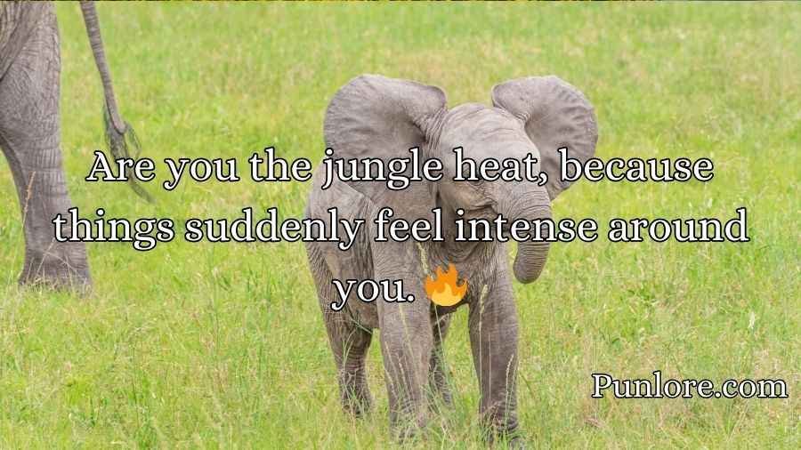 Best Elephant Pick Up Lines And Rizz