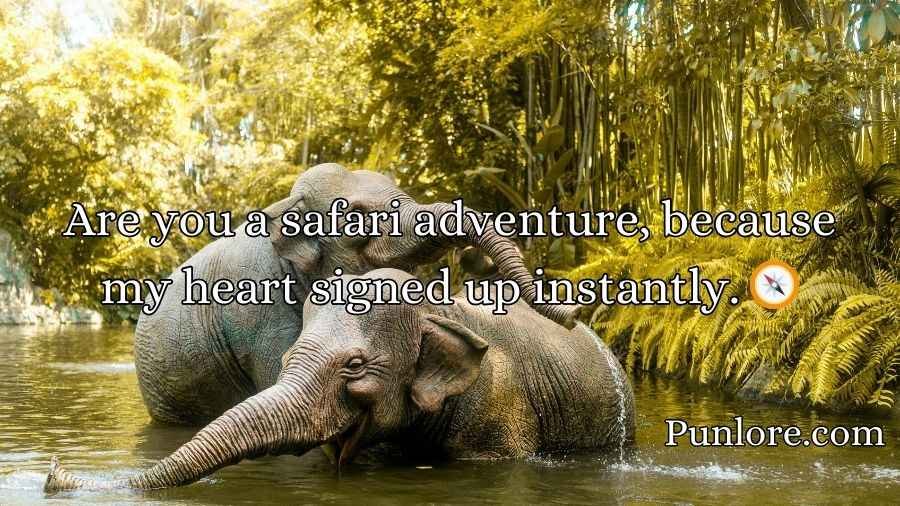 Best Elephant Pick Up Lines And Rizz