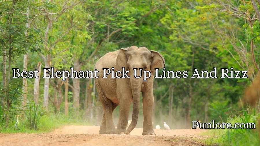 Best Elephant Pick Up Lines And Rizz