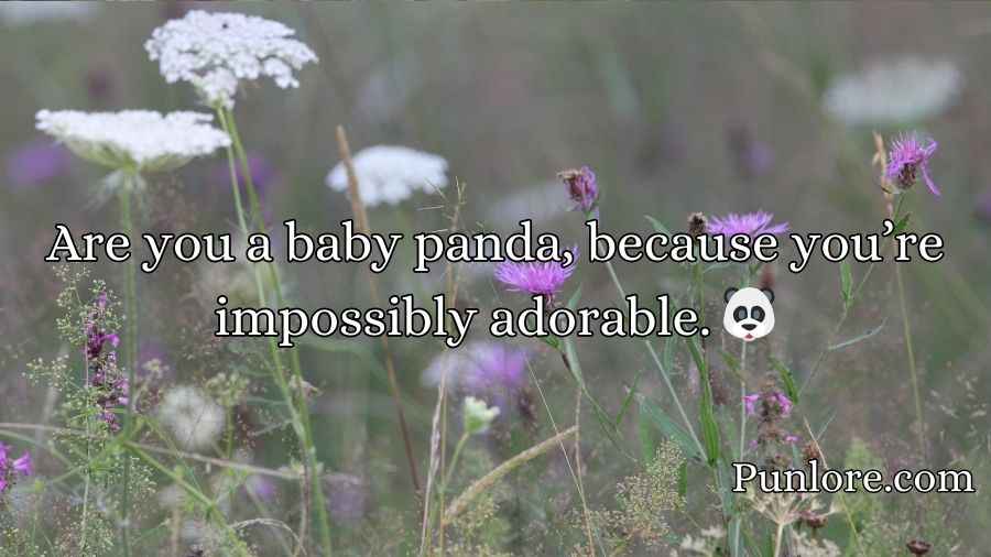 Biodiversity Rizz Lines