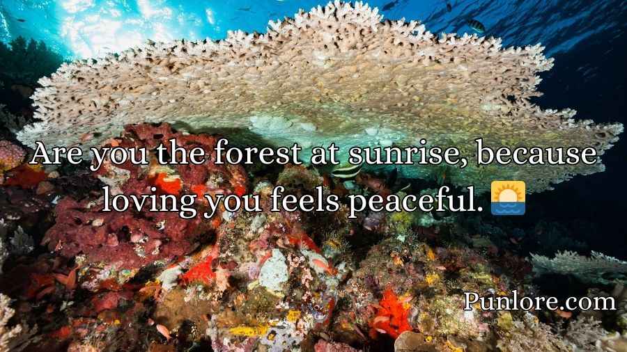 Biodiversity Rizz Lines