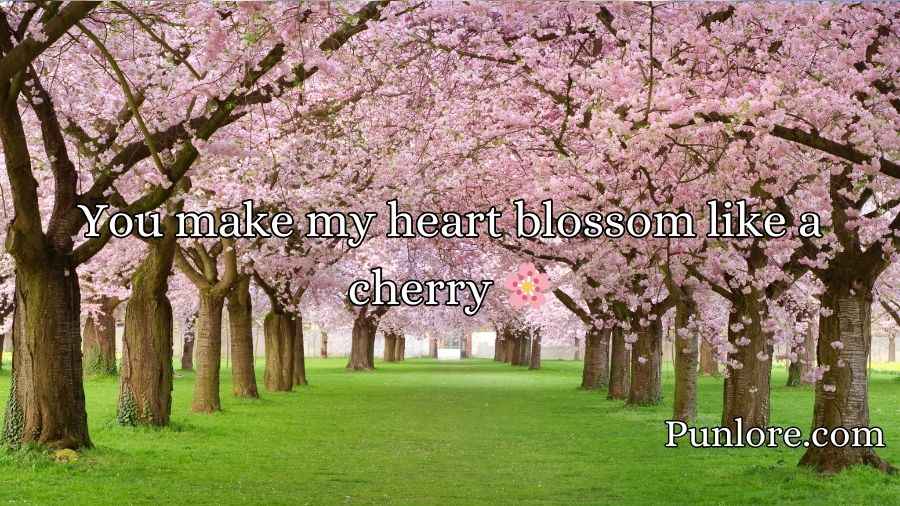 Blossom Puns