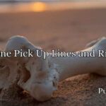 Bone Pick Up Lines and Rizz