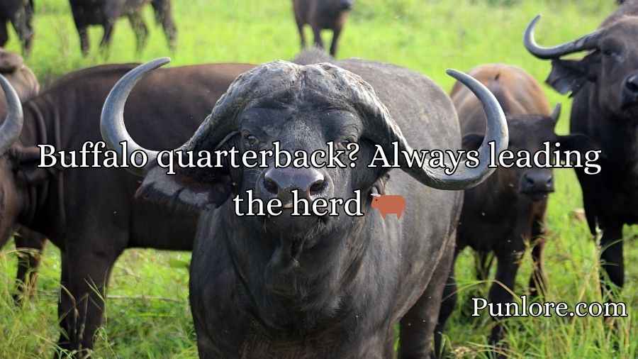 Buffalo Puns