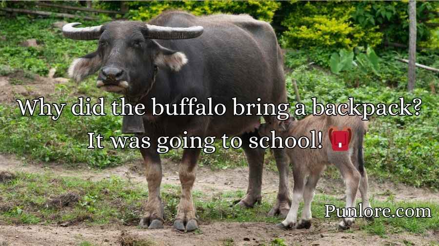 Buffalo Puns