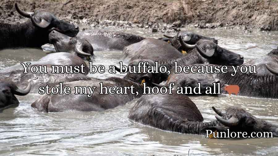 Buffalo Puns
