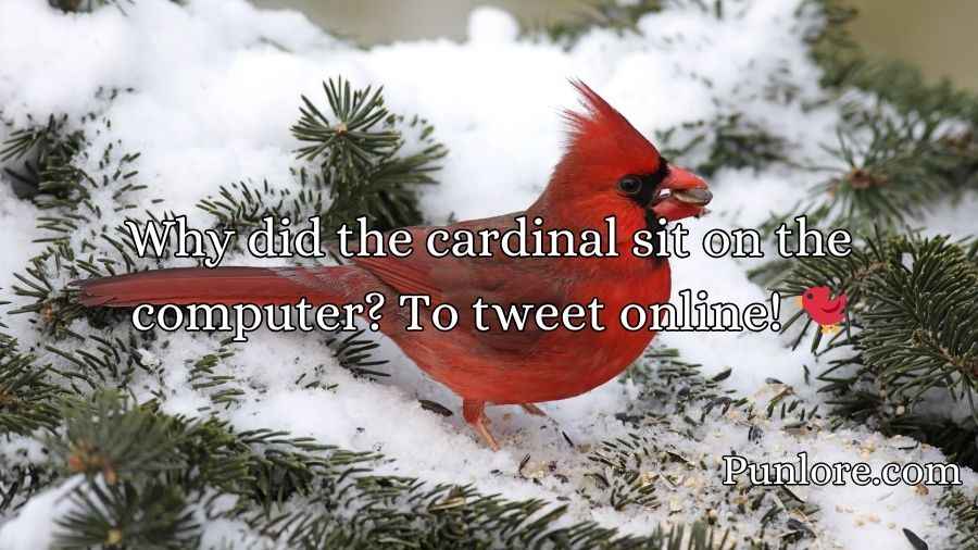 Cardinal Puns