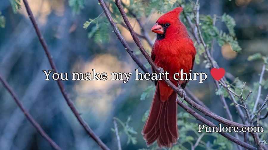Cardinal Puns