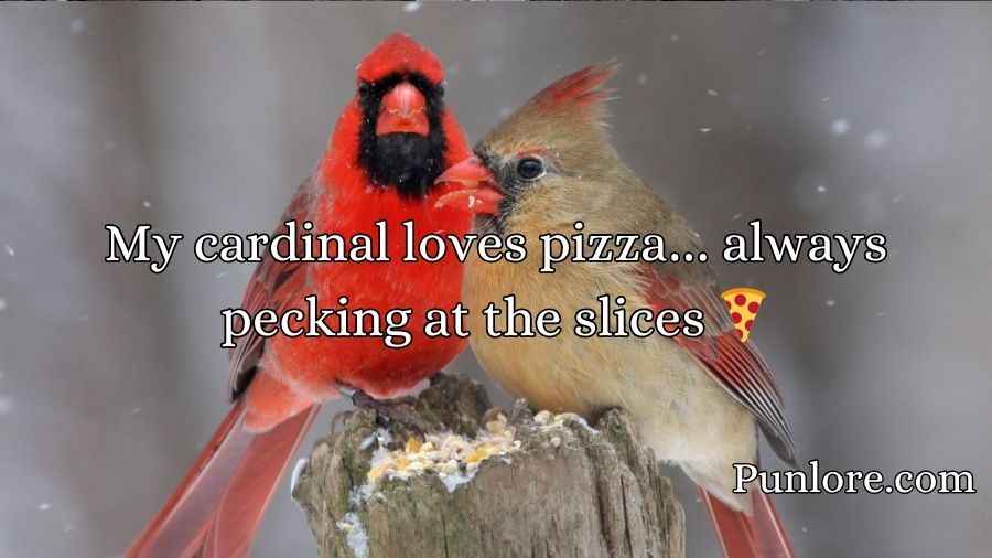 Cardinal Puns