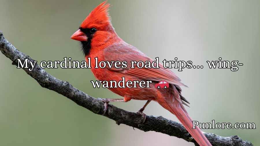 Cardinal Puns