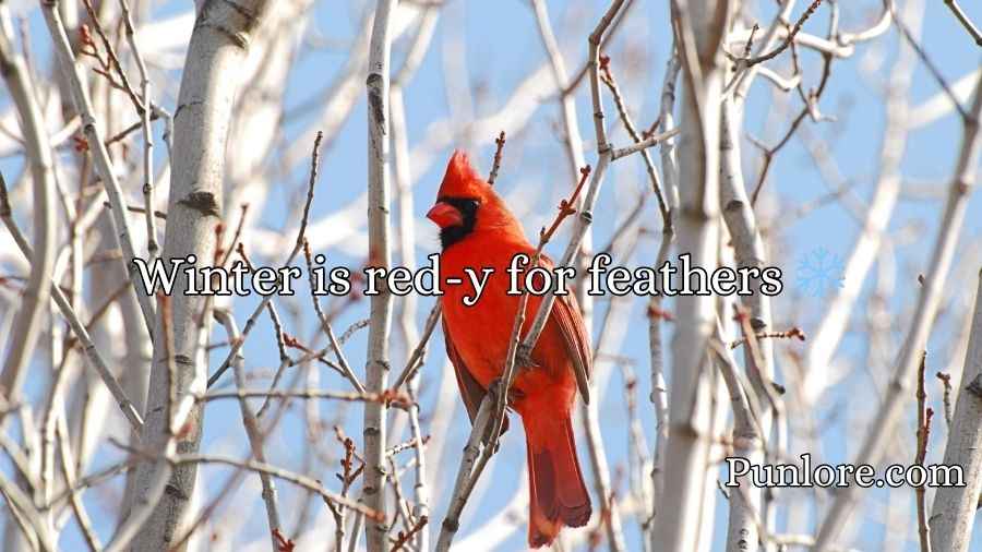Cardinal Puns