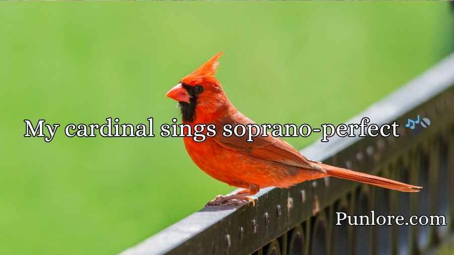 Cardinal Puns