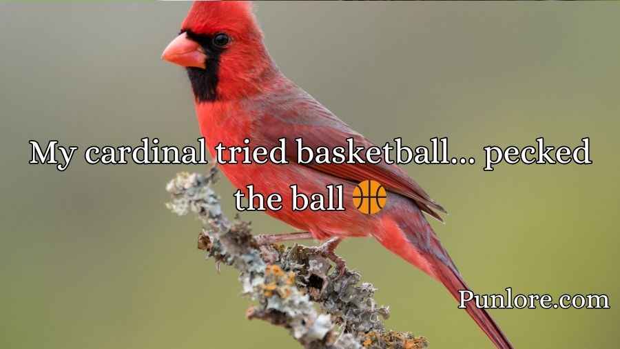 Cardinal Puns