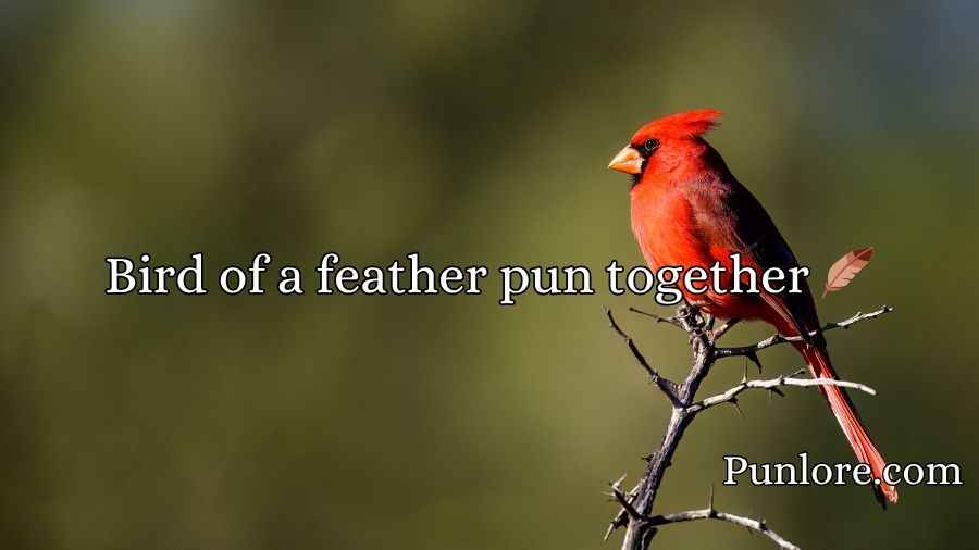 Cardinal Puns