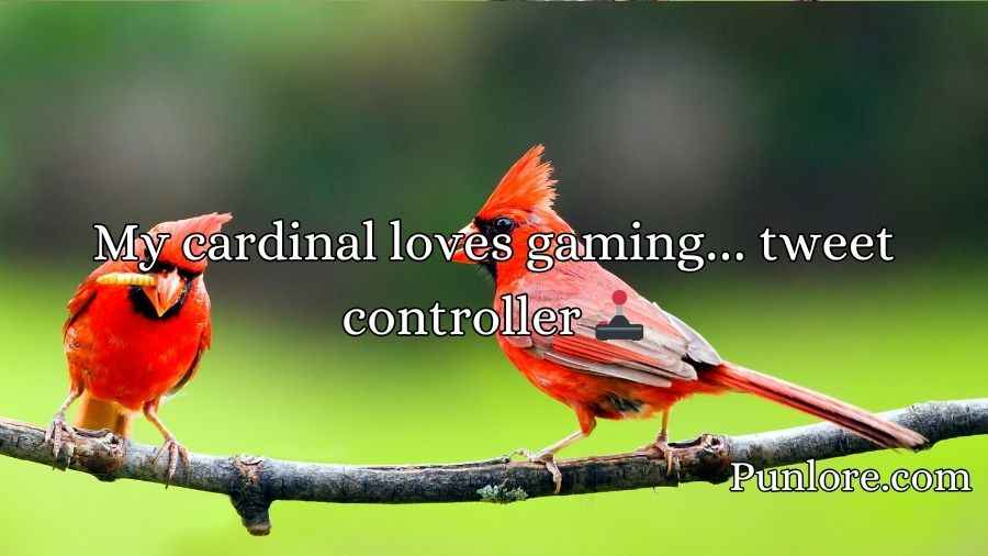 Cardinal Puns