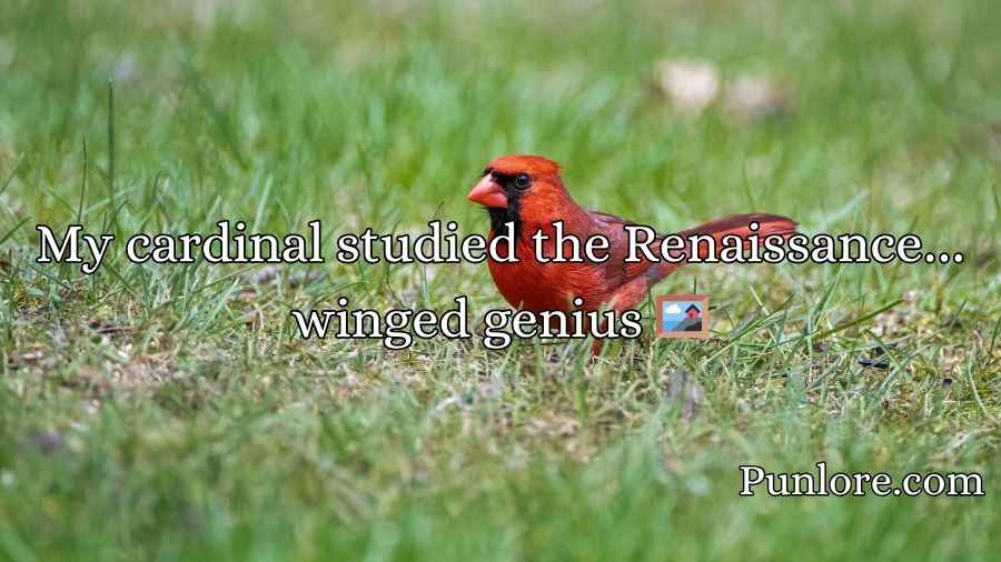 Cardinal Puns