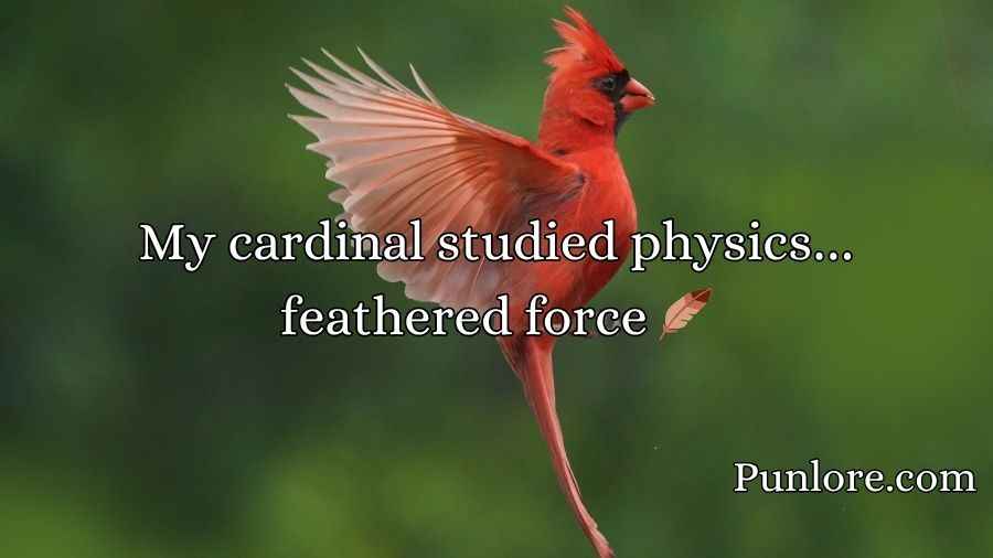 Cardinal Puns