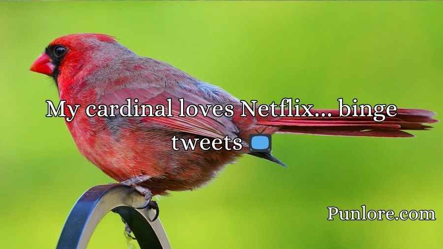 Cardinal Puns