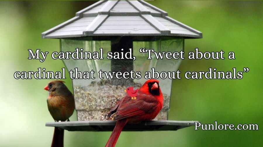 Cardinal Puns