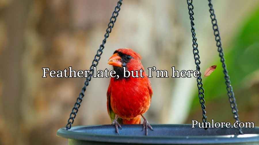 Cardinal Puns