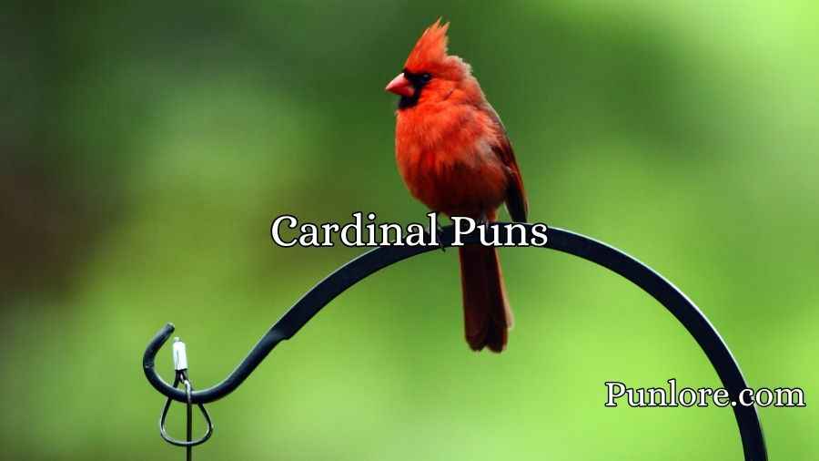 Cardinal Puns