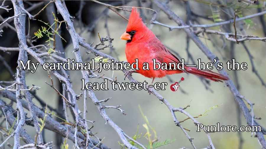 Cardinal Puns