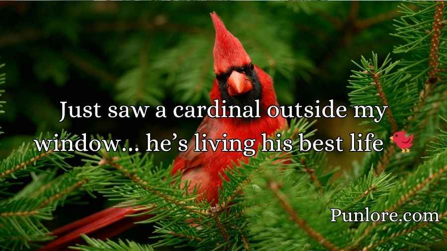 Cardinal Puns