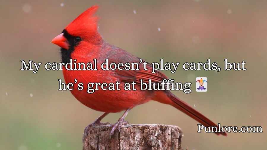 Cardinal Puns