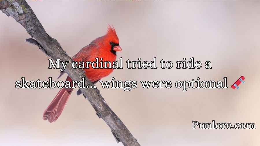 Cardinal Puns