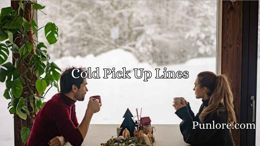 Cold Pick Up Lines
