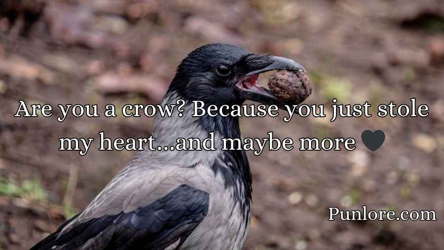 Crow Pickup Lines