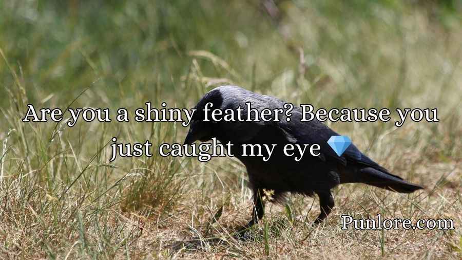 Crow Pickup Lines