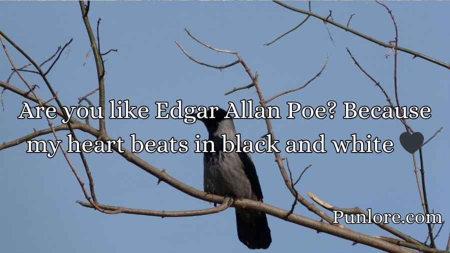 Crow Pickup Lines