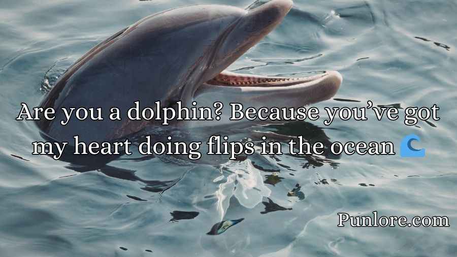Dolphin Pick Up Lines
