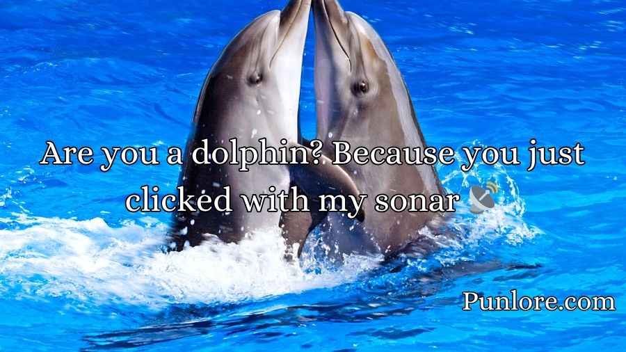 Dolphin Pick Up Lines