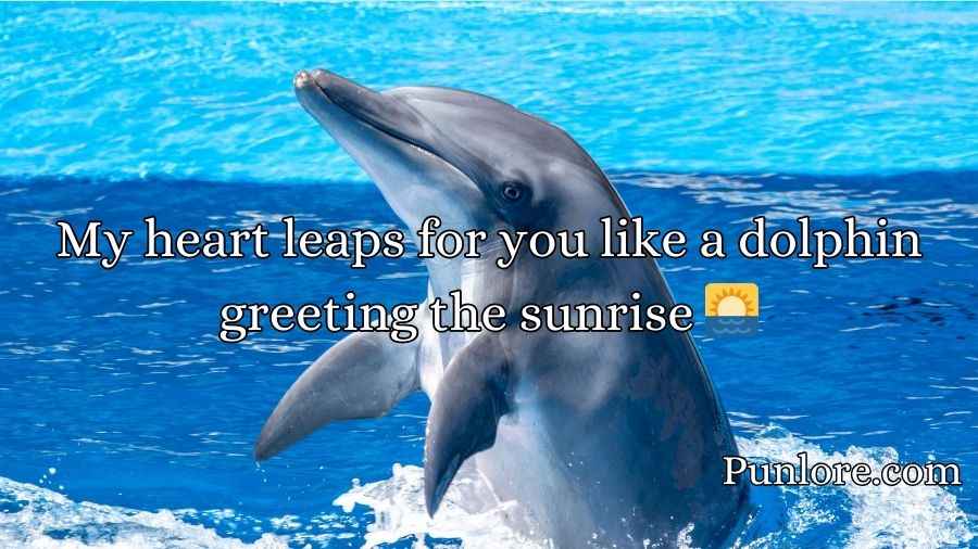 Dolphin Pick Up Lines