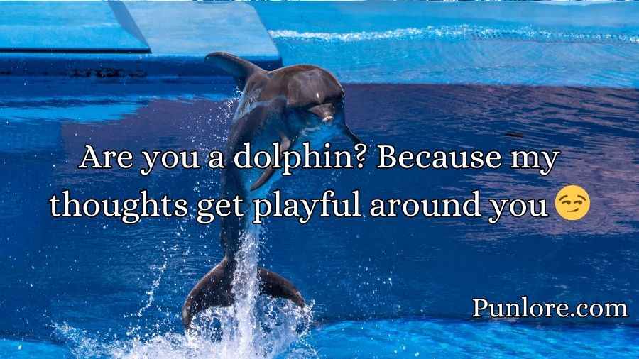 Dolphin Pick Up Lines