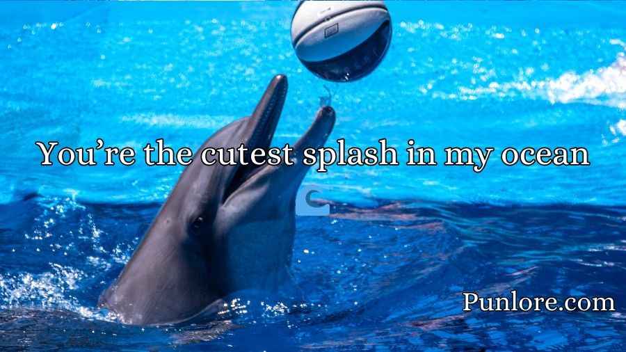 Dolphin Pick Up Lines