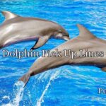 Dolphin Pick Up Lines